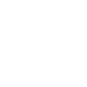 louisiana-seal-w